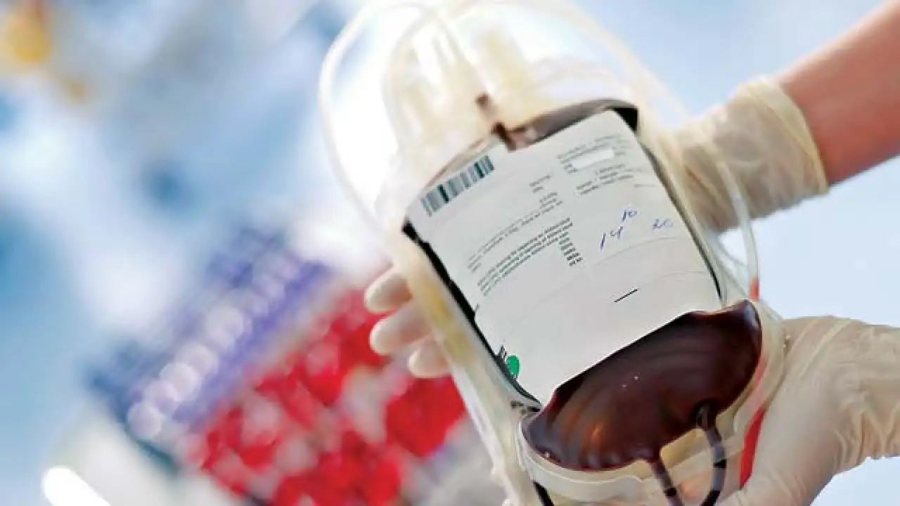 blood bank
